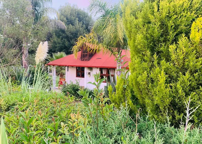 Cabañas los cactus 2 Huasca de Ocampo