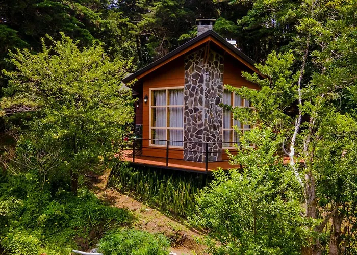 Los Pinos Cabins&Reserve Monteverde