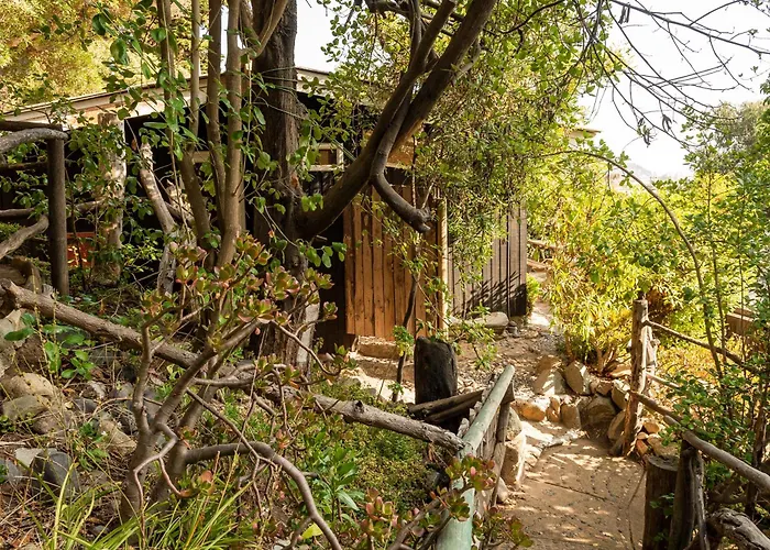 Cabañas Hermansen Maitencillo 