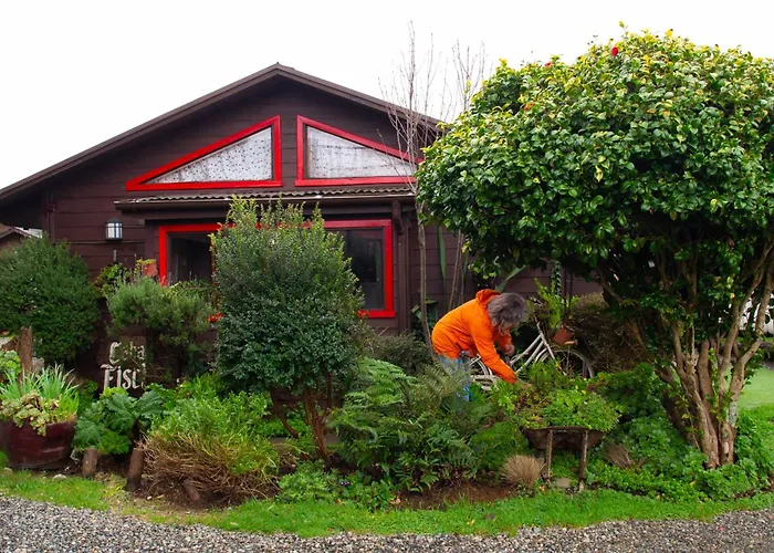 Cabañas Fischer SpA Niebla