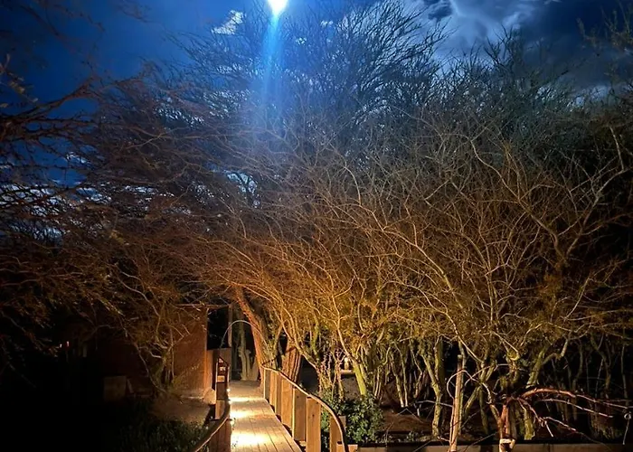 Cabañas el Chañar San Pedro de Atacama
