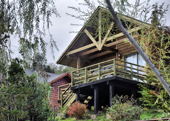 Cabañas Borgolafquen Panguipulli
