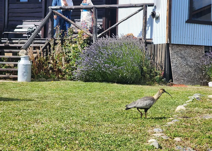 Cabañas Alechen El Calafate