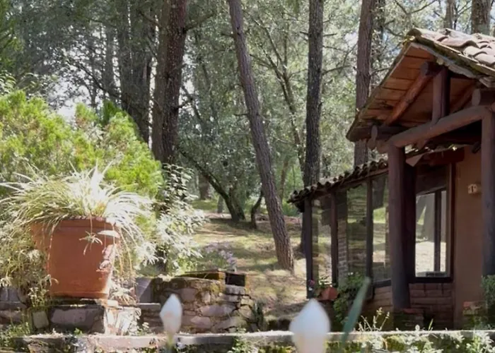 Cabañas Tapalpa Sierra del Tecuan, Cabaña Conejo