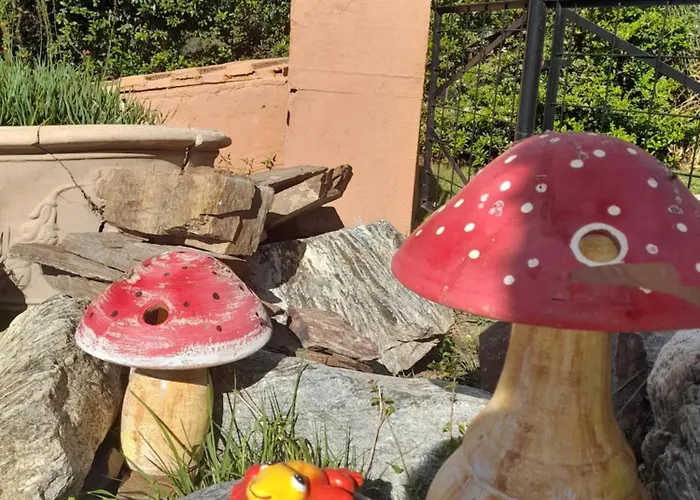 Fragancias Serranas Cortaderas