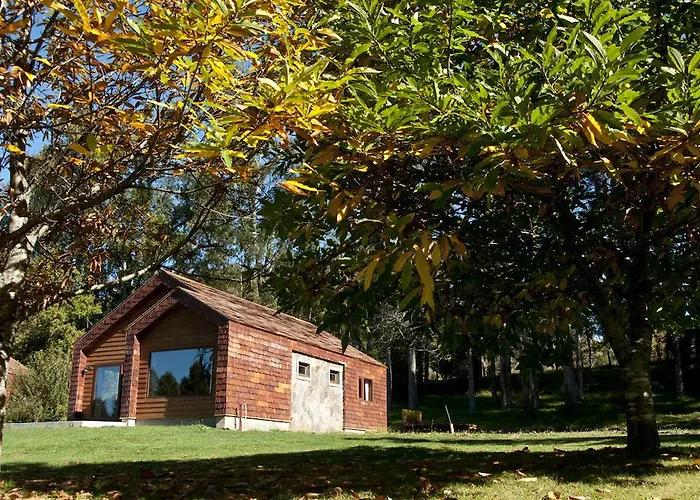 Cabañas Patagonia Lefun Pucón