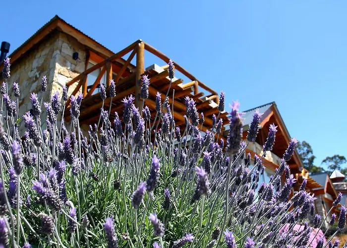 Cabanas Antulafken Hotel Mar del Plata