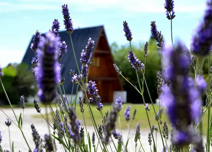 Cabañas Nevis El Calafate