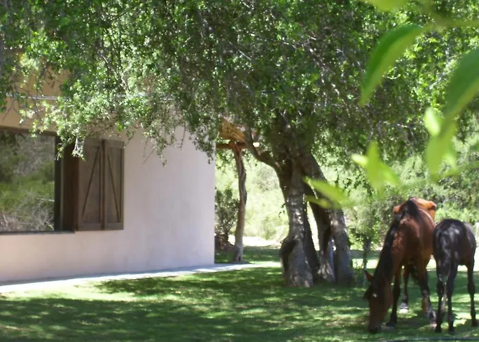 Finca Puesta del sol San Agustín de Valle Fértil