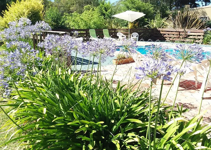 Cabañas Los Aromos Tandil