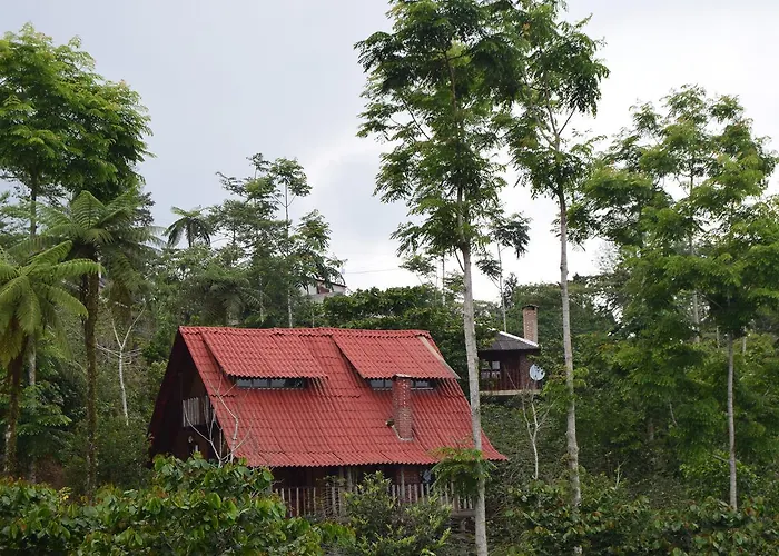 Cabañas los Cedros Cuetzalán del Progreso