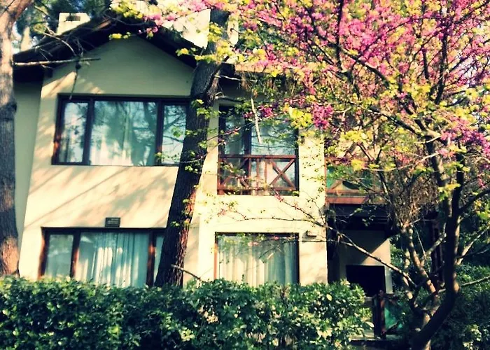 Cabanas Bethania Mar de Las Pampas