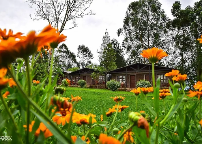 Hotel Las Azaleas Jardín América