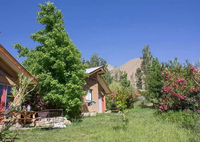Cabanas Los Sauzales Pisco Elqui