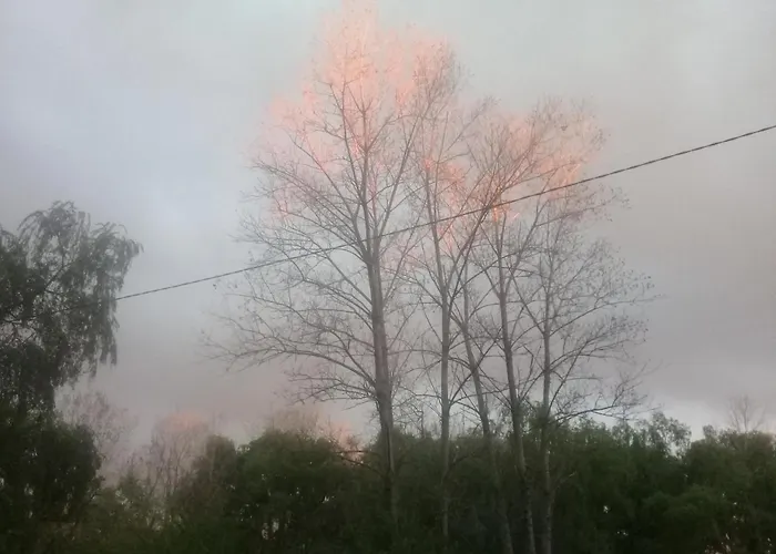 Cabañas Aqui y Ahora Tigre