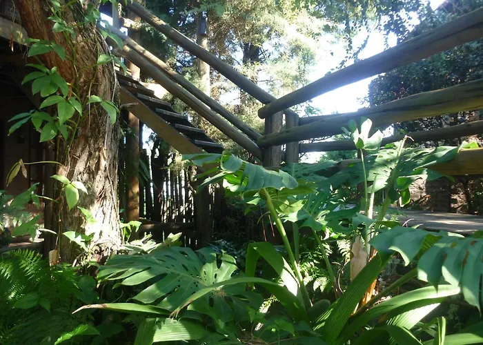 Cabañas del Uru Colón
