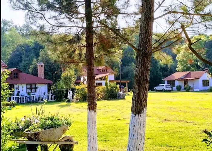 Cabañas los cactus 2 Huasca de Ocampo